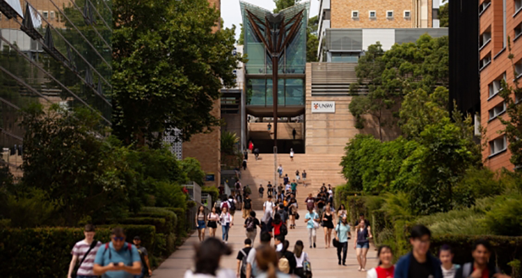 main walkway of UNSW