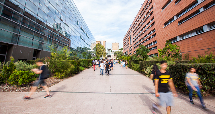 UNSW School names by Faculty