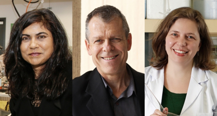 Three new UNSW Fellows of Australia Academy of Science