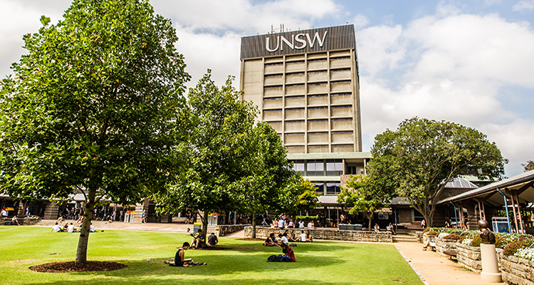 UNSW library building and lawn