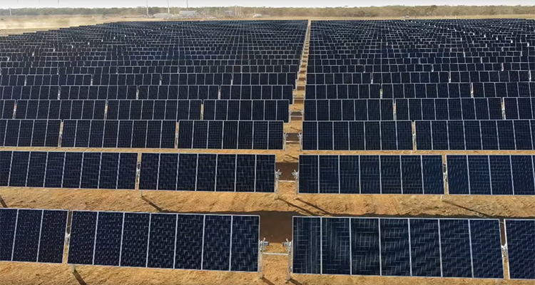 Sunraysia Solar Farm