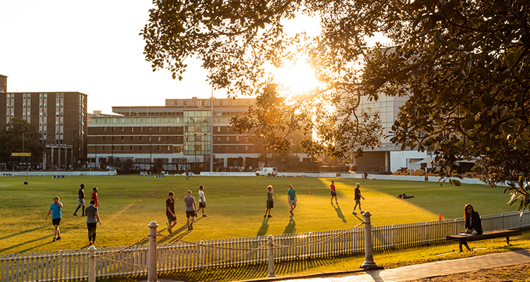 UNSW Village Green at sunset