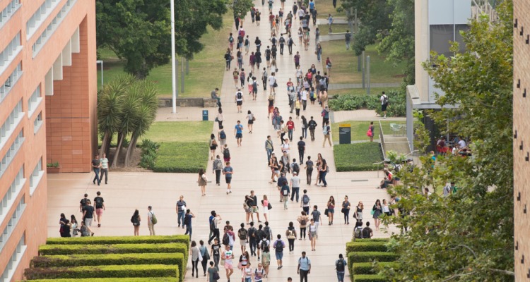 UNSW campus from above