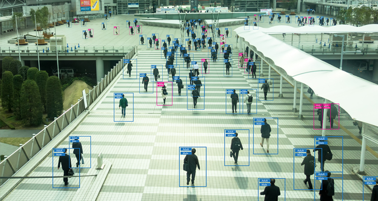 AI analysis of a crowd