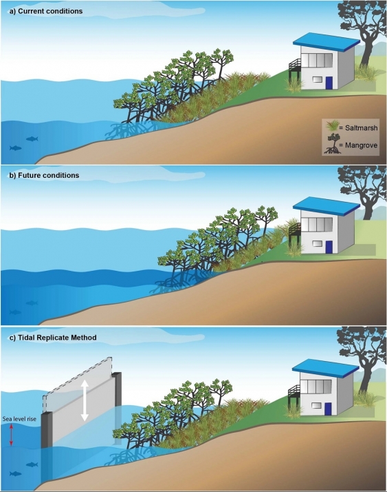 Graphic smartgate