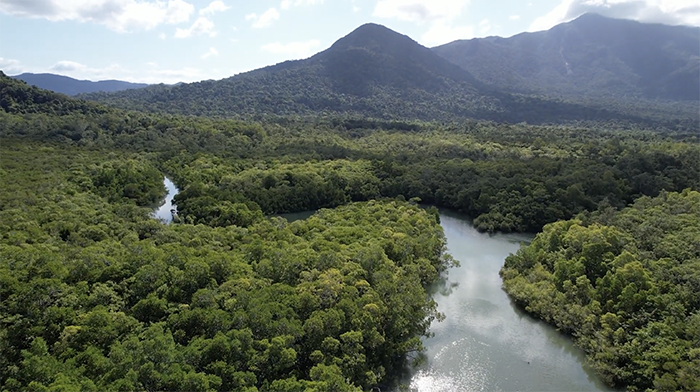 View of a river and forest
