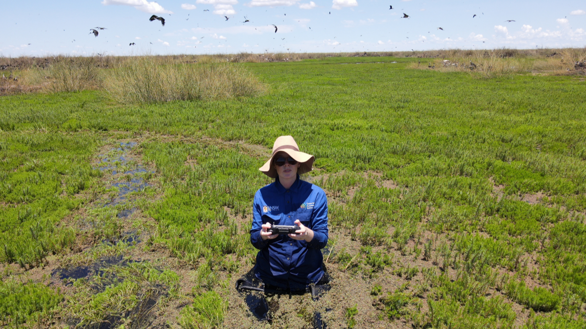 Roxane working with waterbirds in Botswana.