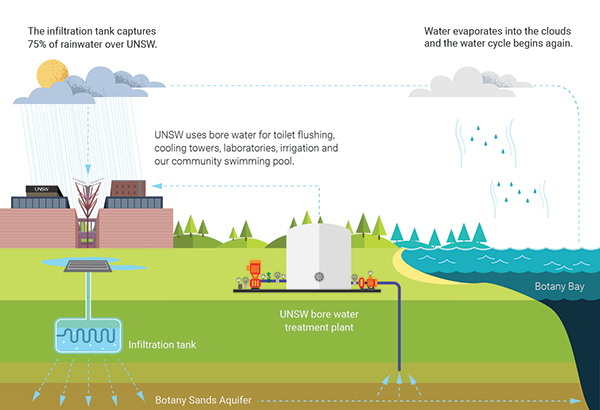 UNSW water cycle