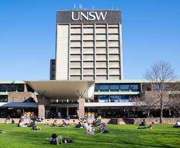 Students on the library lawn
