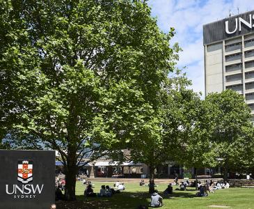 Students on the library lawn