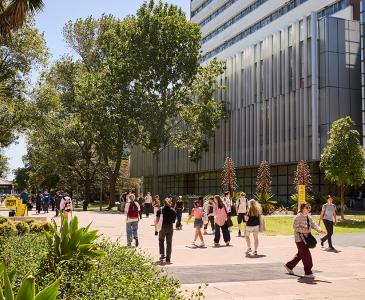 Campus main walkway