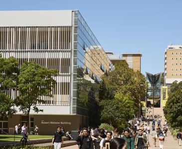 View up the University Mall 