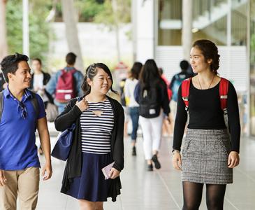 UNSW Undergraduate Students