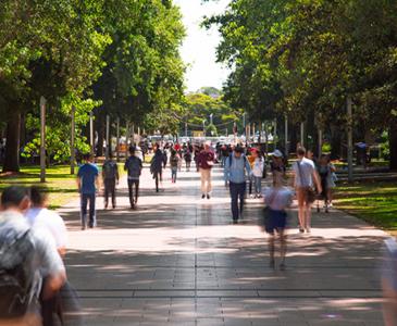 UNSW tops world subject rankings for sixth year