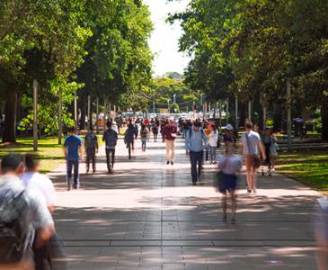 UNSW tops world subject rankings for sixth year