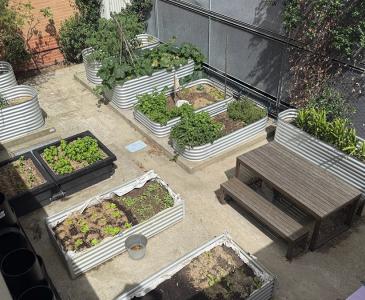 Urban garden