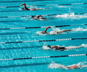 People swimming in lanes