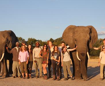 Students and staff with elephants in Botswana