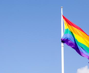 UNSW Sydney rainbow flag