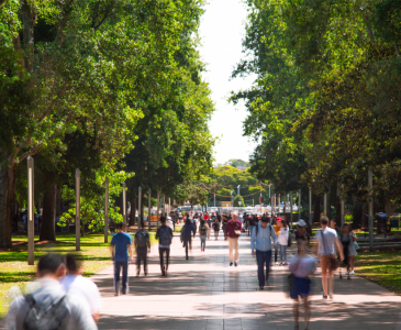 People walking on lower campus