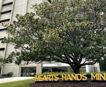 Tree with large letters in front spelling "Hearts Hands Minds"
