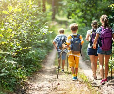 Family walking in the forest