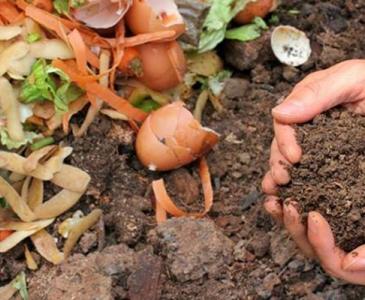 food waste turning to compost