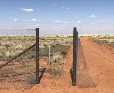 Exclosure fencing at Fowlers Gap