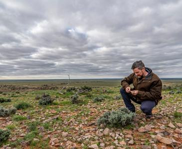 UNSW Sydney's Fowlers Gap enters new era of conservation