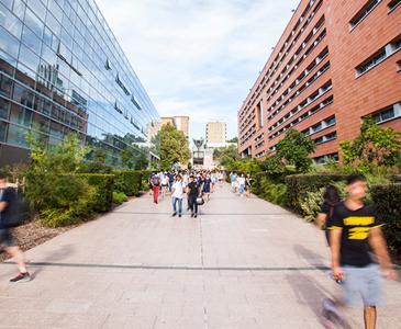 UNSW Academic and Faculty Boards Elections