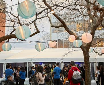 Lanterns hanging from trees during O Week