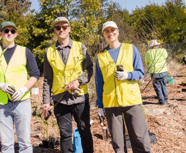 3 people planting plants