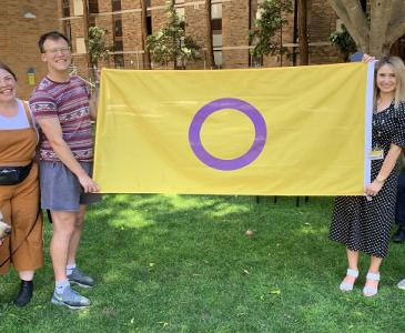 intersex flag 