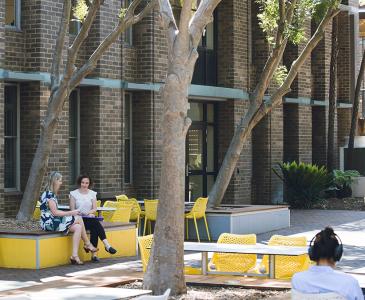 UNSW launches two new staff development initiatives