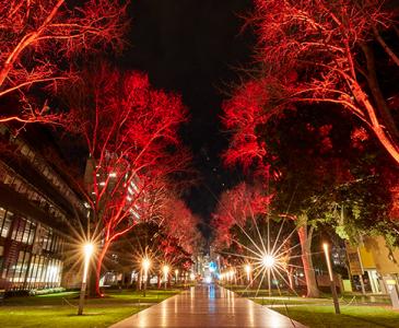 NAIDOC After Dark