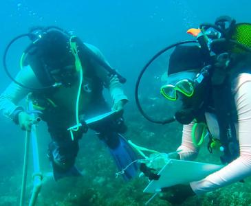 Two scuba divers with clipboards underwater