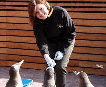 Liz Riley feeding penguins at Edinburgh Zoo