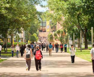 Students walking up the UNSW mall