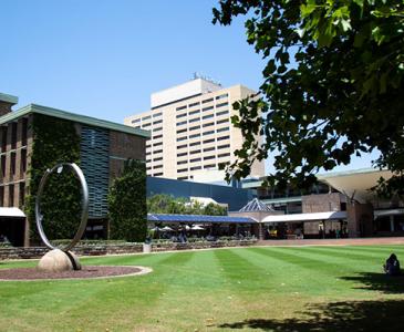 UNSW Library Lawn