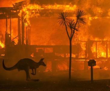 UNSW establishes the Resilient Futures Collective