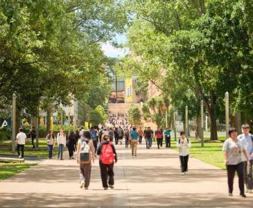 UNSW students walking up the mall