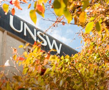 View of UNSW logo on library tower through autumn leaves