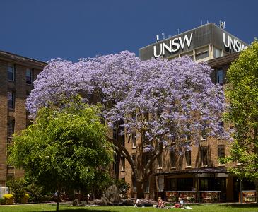 UNSW jumps 41 places in 2022 global impact rankings