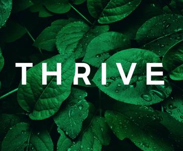 THRIVE