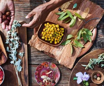 A selection of various native Australian foods 