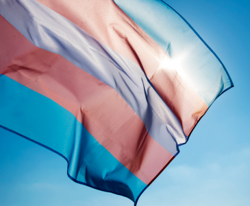 Transgender flag