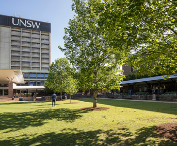 UNSW Library Lawn