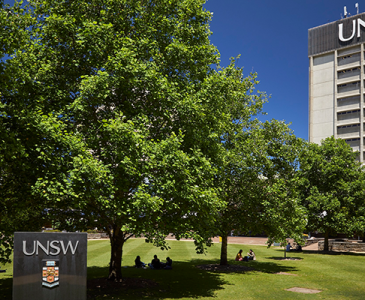 UNSW library lawn