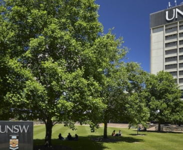 UNSW Library Lawn