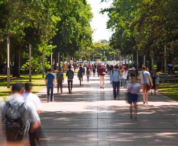 Students walking on campus